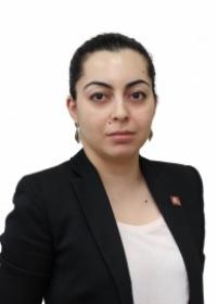 [Эльмира Анатольевна]