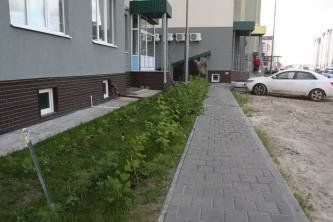 Изумрудный газон