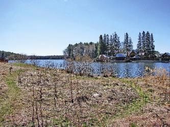 Черная речка