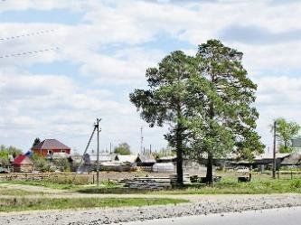 Богандинский