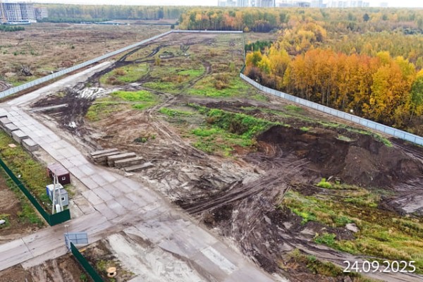 Скандиа. Квартал у Леса