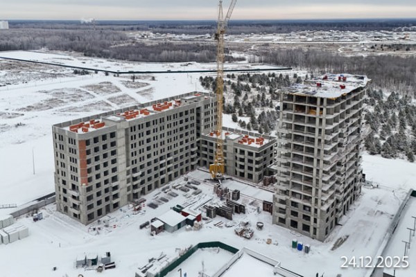 Скандиа. Квартал в Комарово Парк