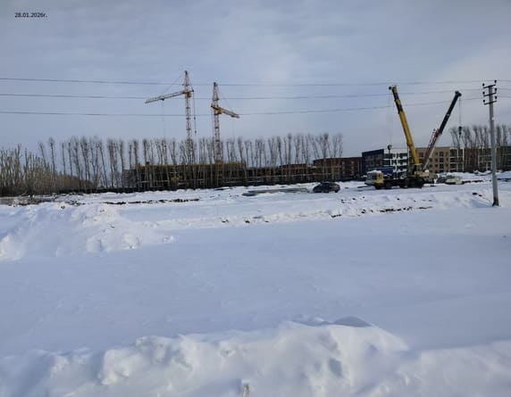 Зеленые Аллеи