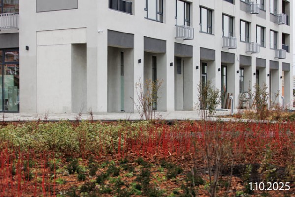 Уездные кварталы