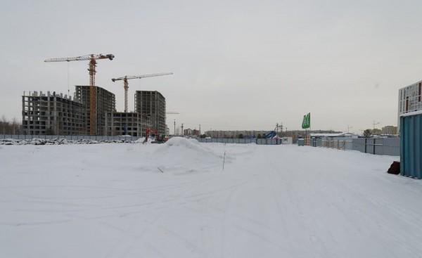 Новый интеллект