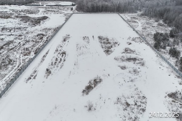 Скандиа. Квартал у Леса