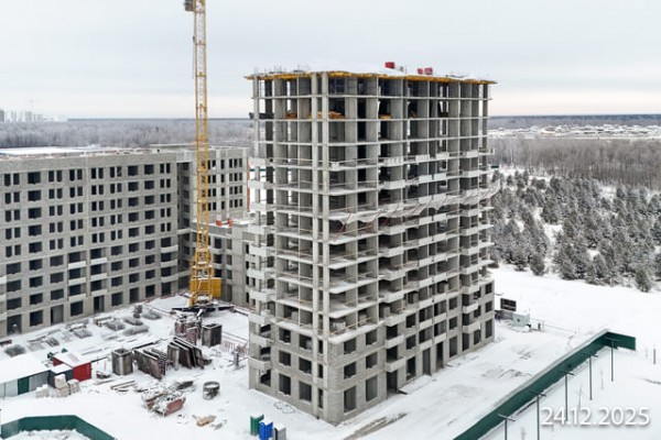 Скандиа. Квартал в Комарово Парк