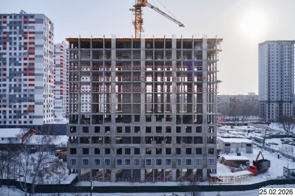 ТОЛК МЕДНЫЙ