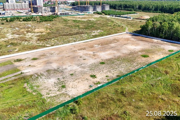 Скандиа. Квартал у Леса