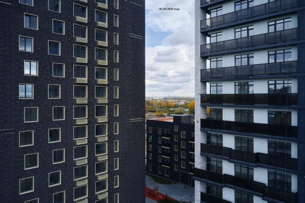 Кедровый берег