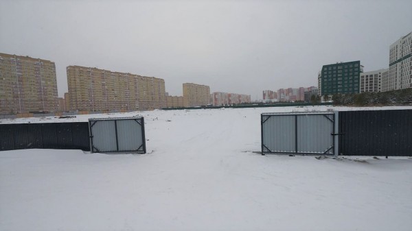 Новый интеллект