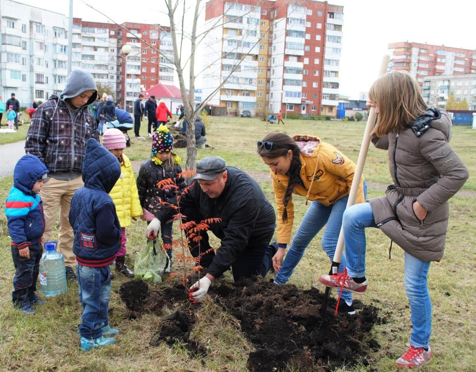 Проект посадки деревьев в городе