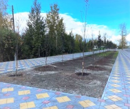 Новые насаждения на бульваре Бориса Щербины