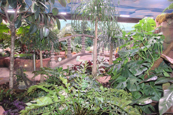 Сад бабочек