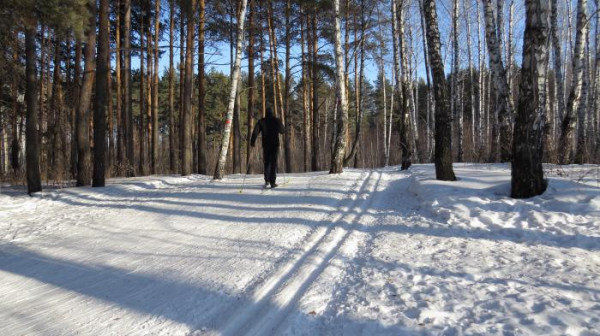 Лесопарк «Затюменский»
