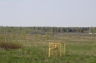 Газификация \&quot;Приозерного\&quot;