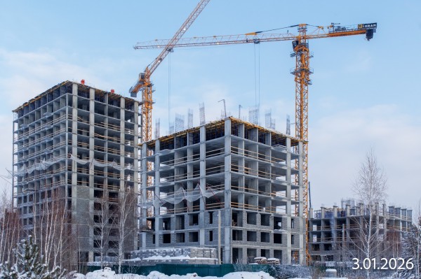 Мидгард на Уездной